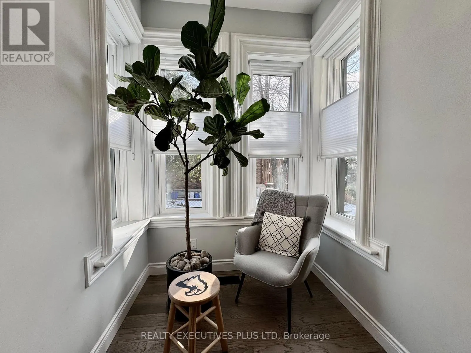 6 ELGIN STREET N