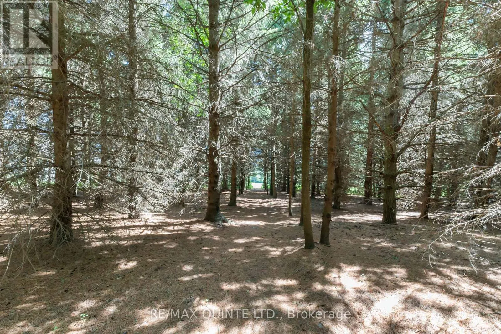 839 COUNTY RD 64 ROAD