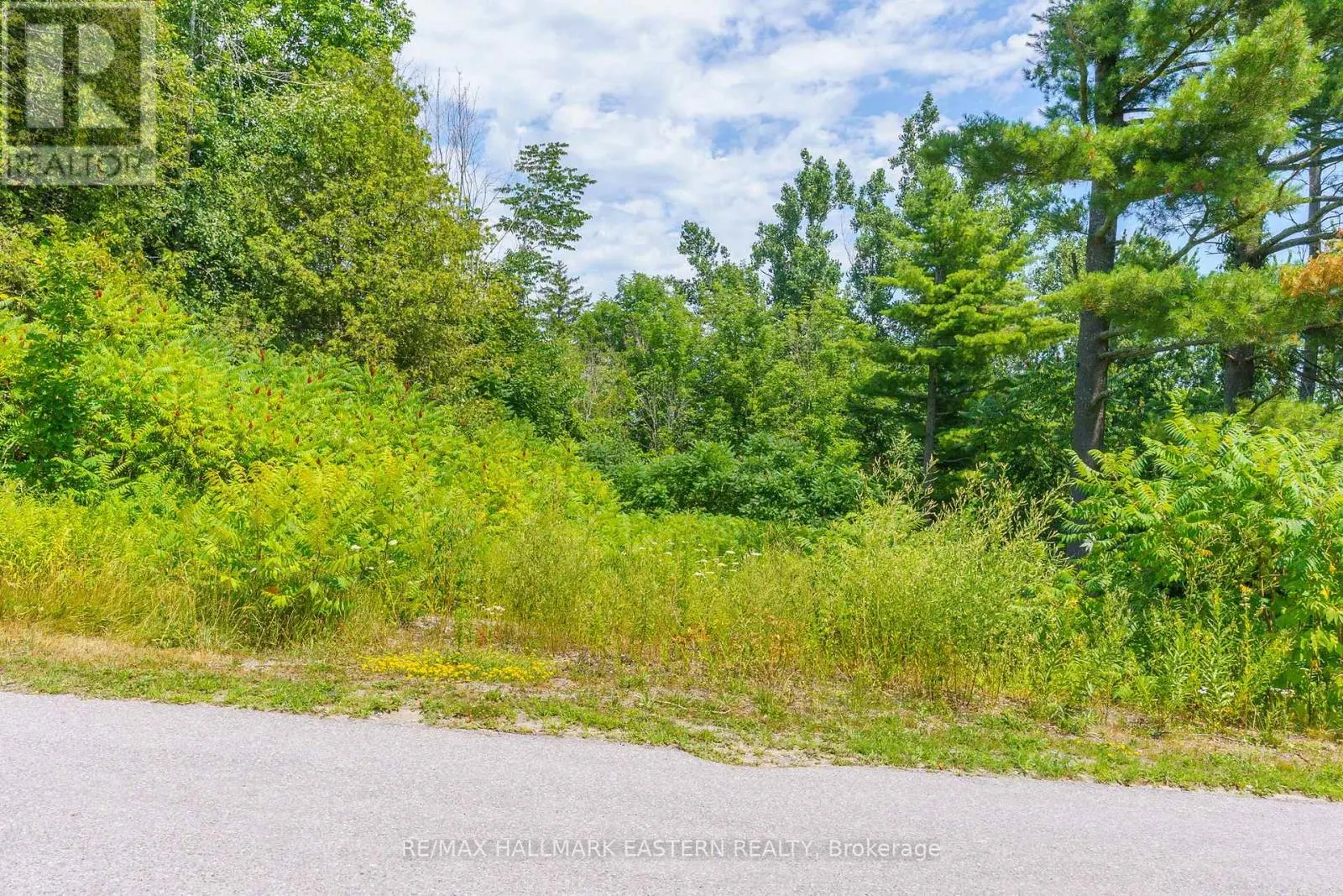 4 KILLARNEY ROAD
