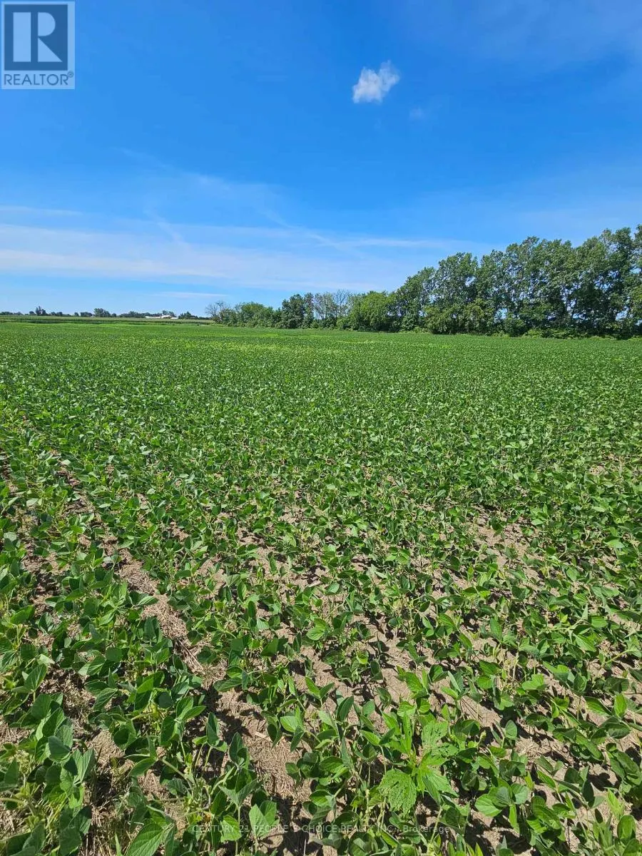 3670 3RD CONCESSION ROAD