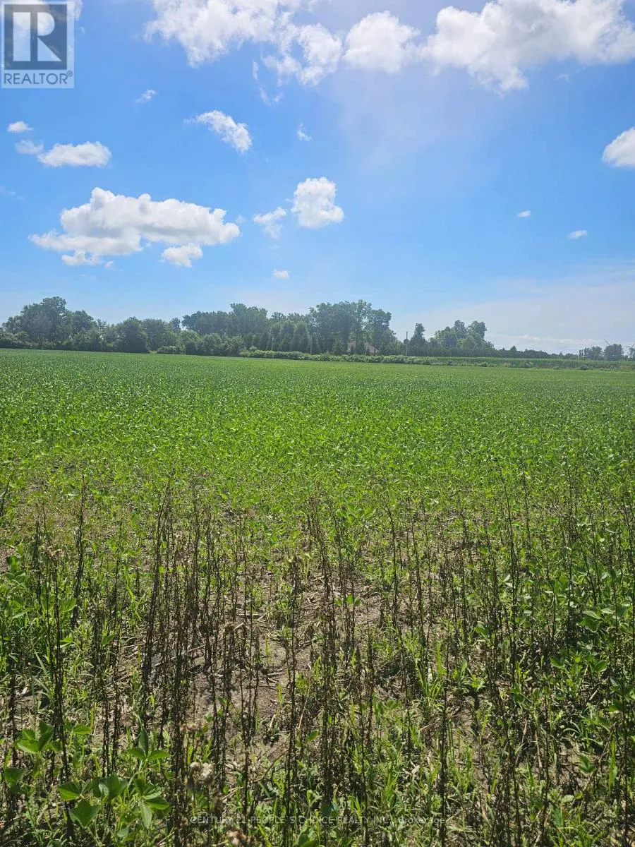 3670 3RD CONCESSION ROAD