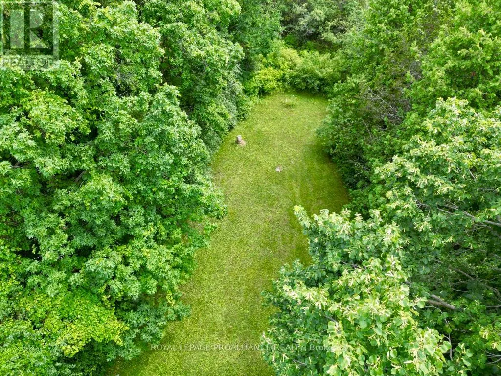 1692 NORTH BIG ISLAND ROAD