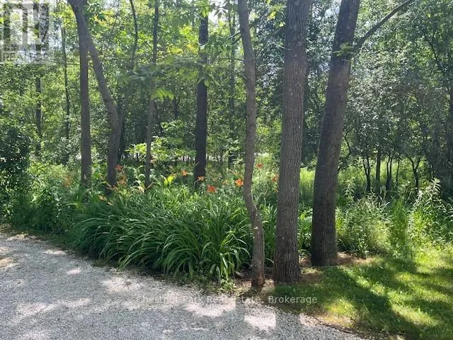 156 HARBOUR BEACH DRIVE