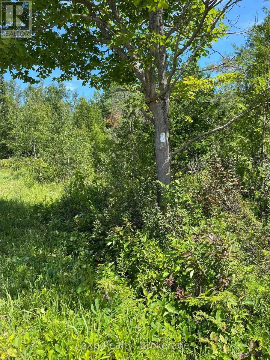 PART LOT 40 LINDSAY ROAD 40