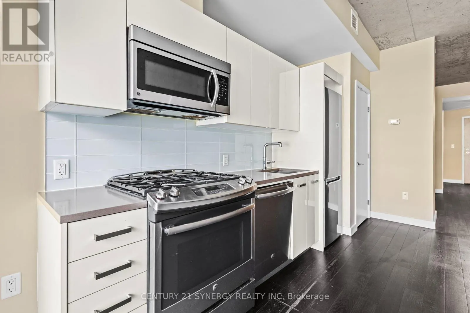 313 - 224 LYON STREET N
