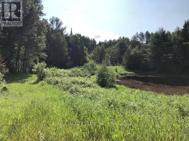 35956 HIGHWAY 62