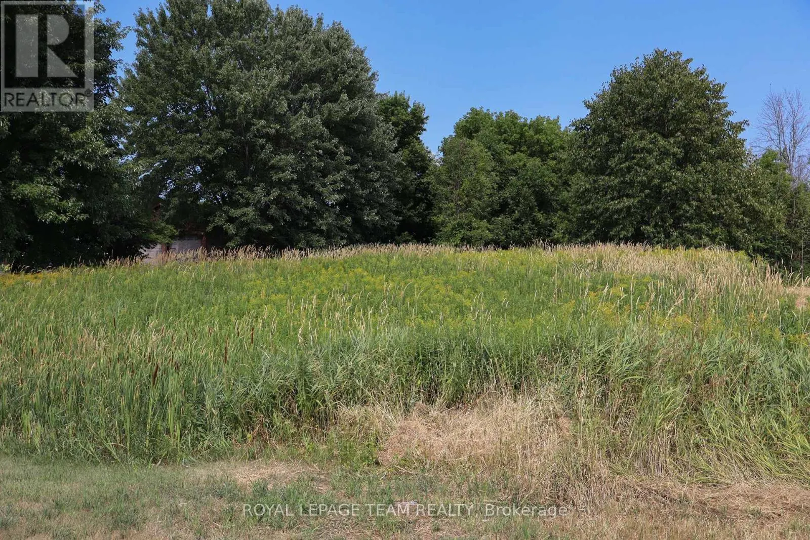 11882 COUNTY 18 ROAD