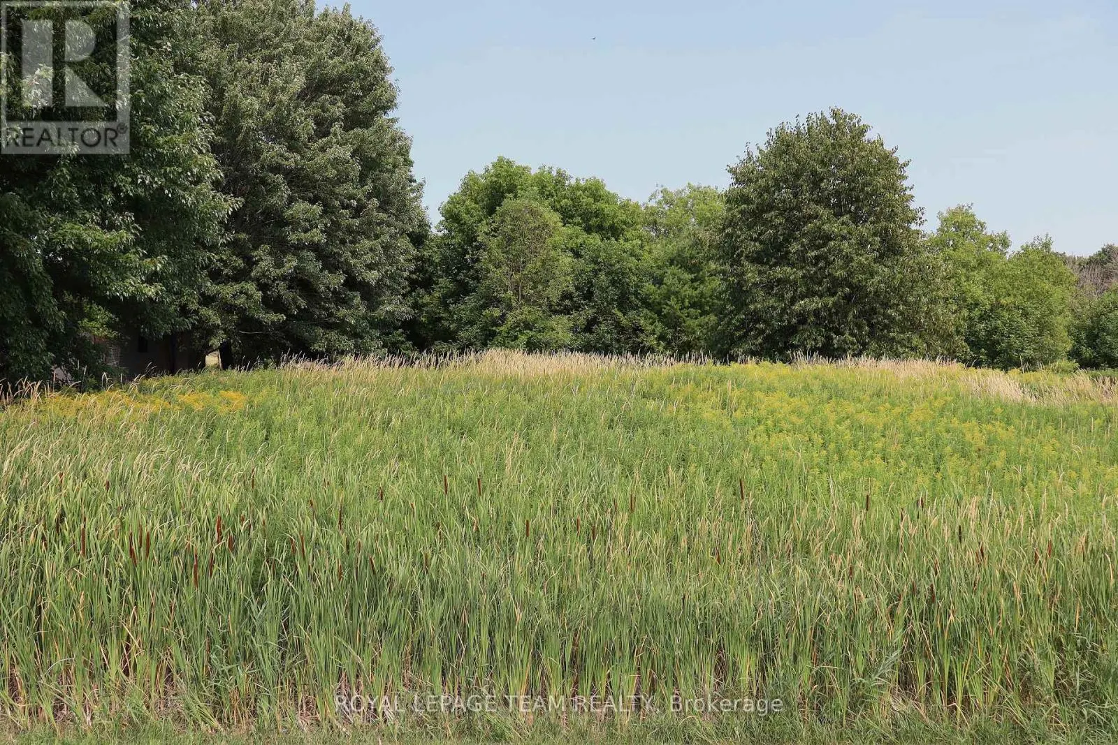 11882 COUNTY 18 ROAD