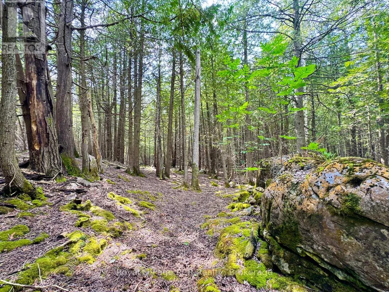 323 EAST ROAD RR 4 ROAD