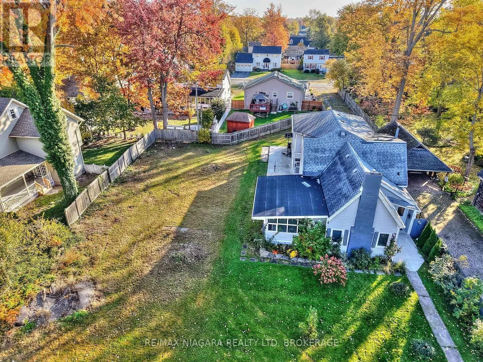 624-LT1 DAYTONA DRIVE