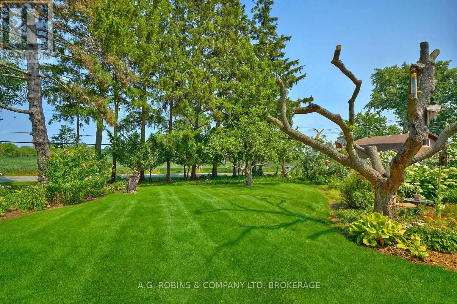 10773 LAKESHORE ROAD