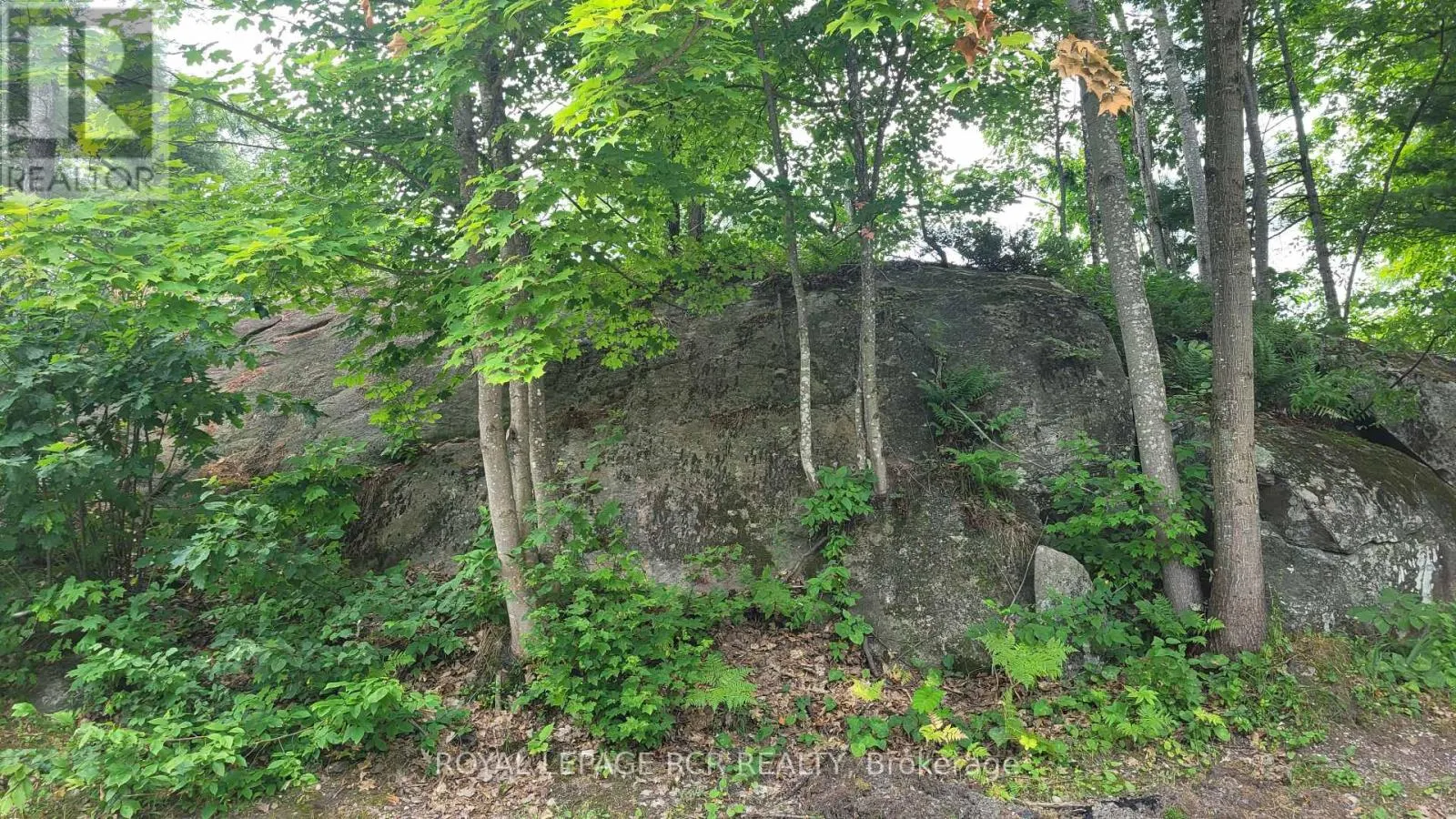 31 - 1007 RACOON ROAD
