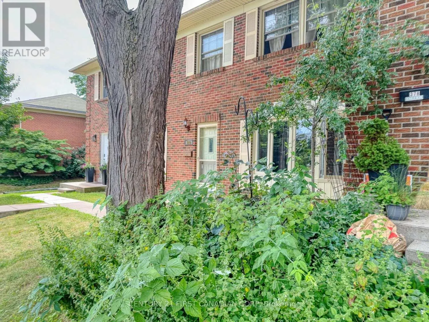 380 HOMESTEAD COURT
