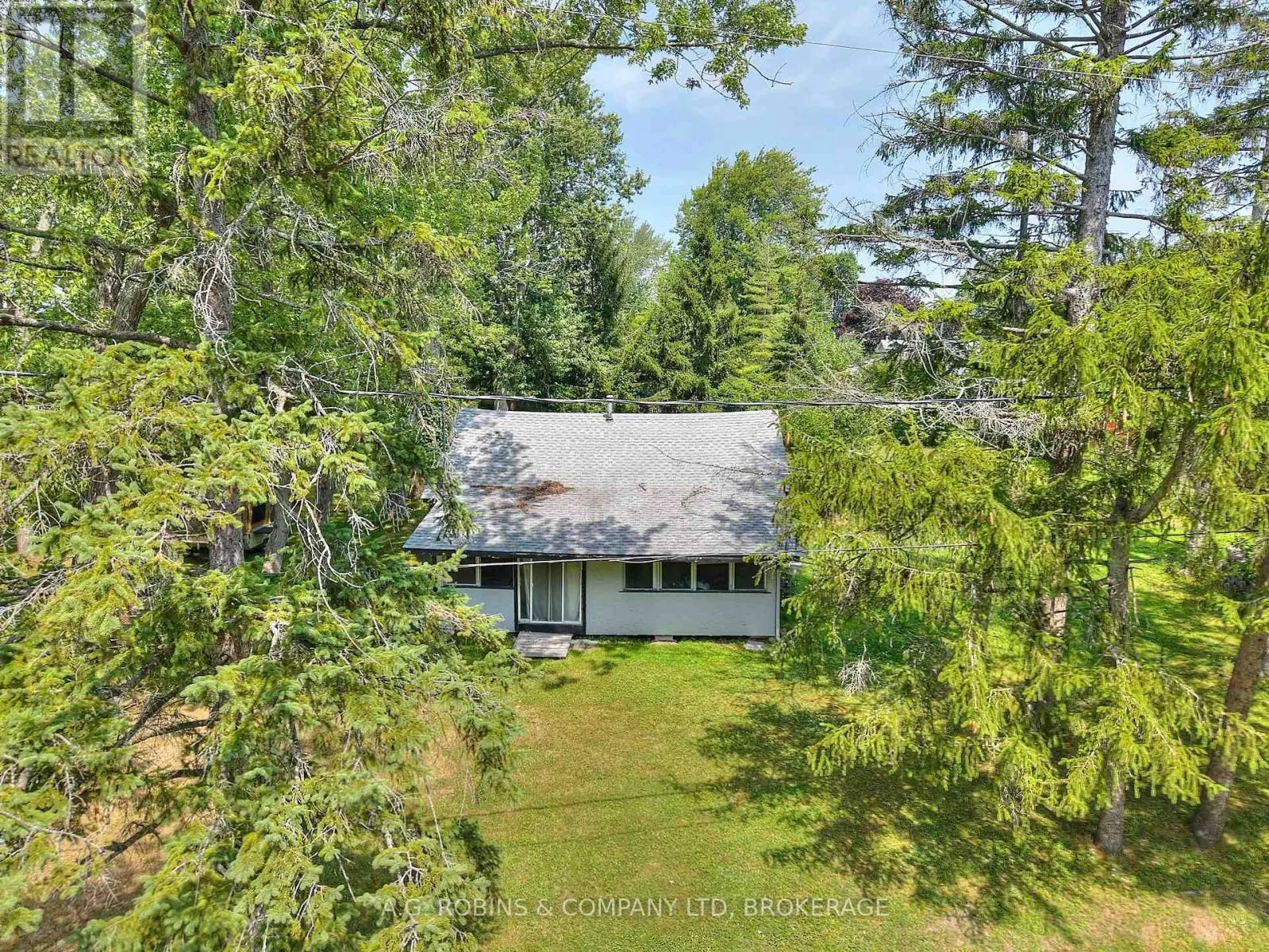 10598 WOODLAND DRIVE