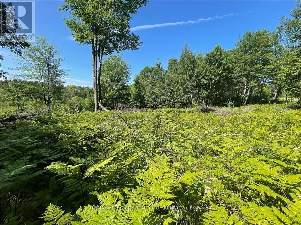 00 OLMSTEAD-JEFFREY LAKE ROAD