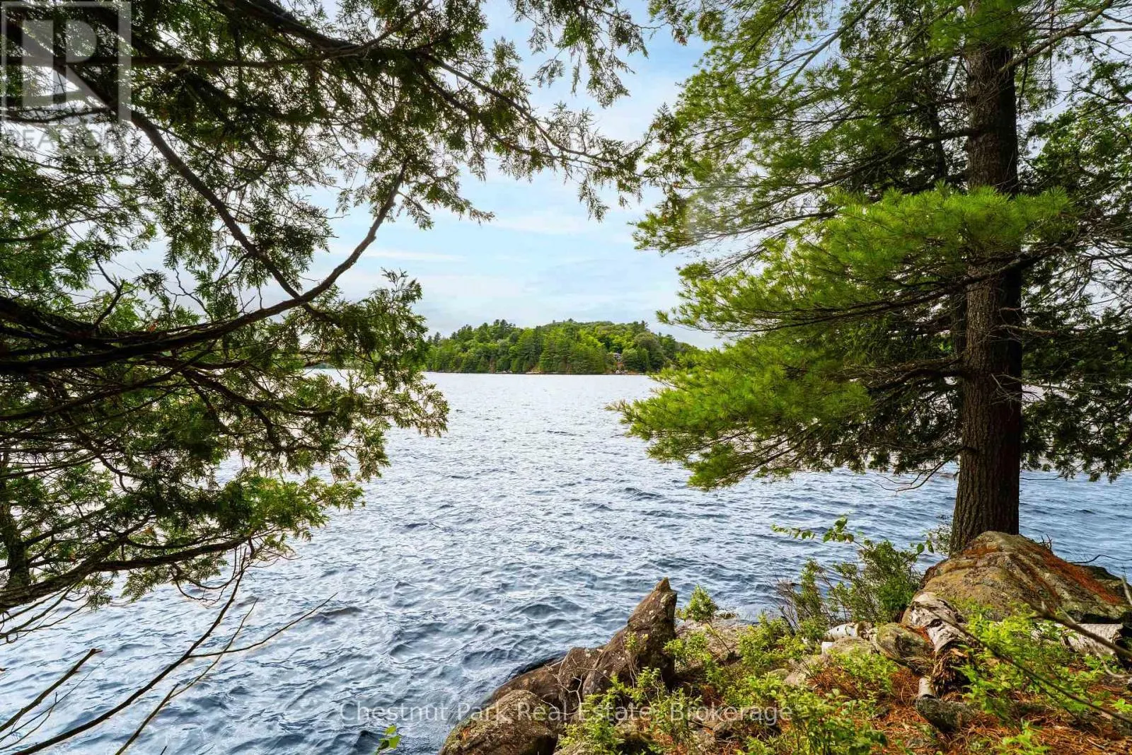 920 BIG ISLAND