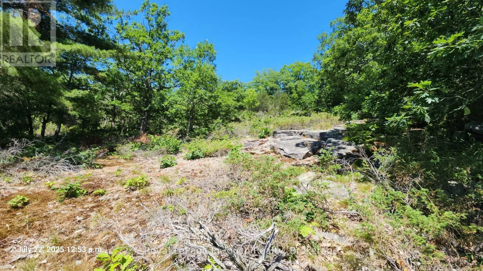 320 O'HARA POINT ROAD