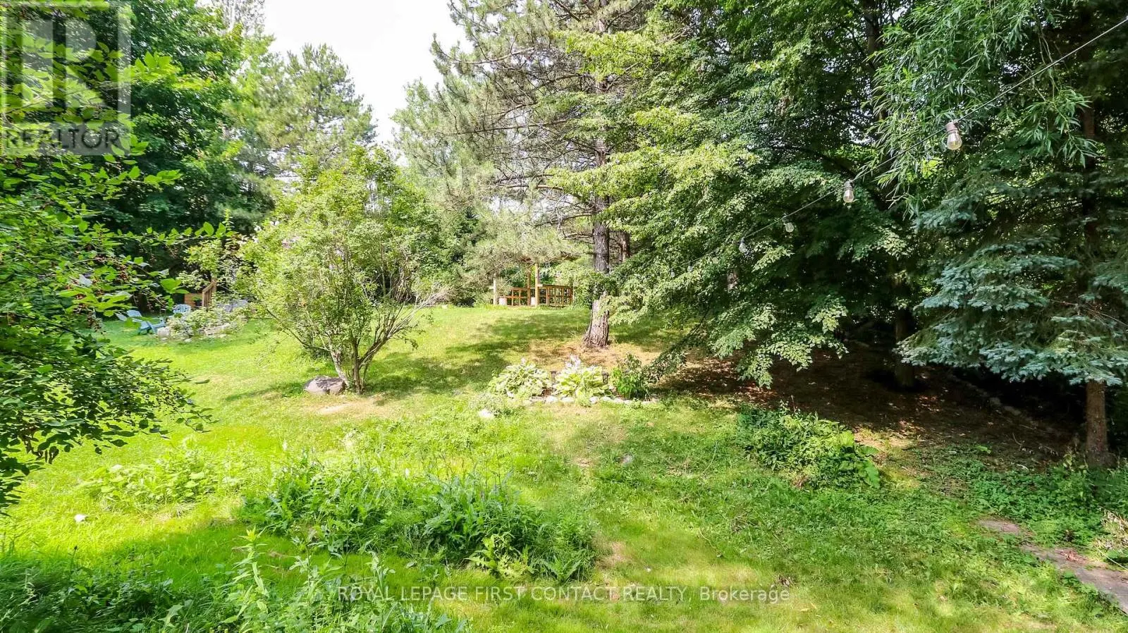 114 BIRCH VIEW TRAIL