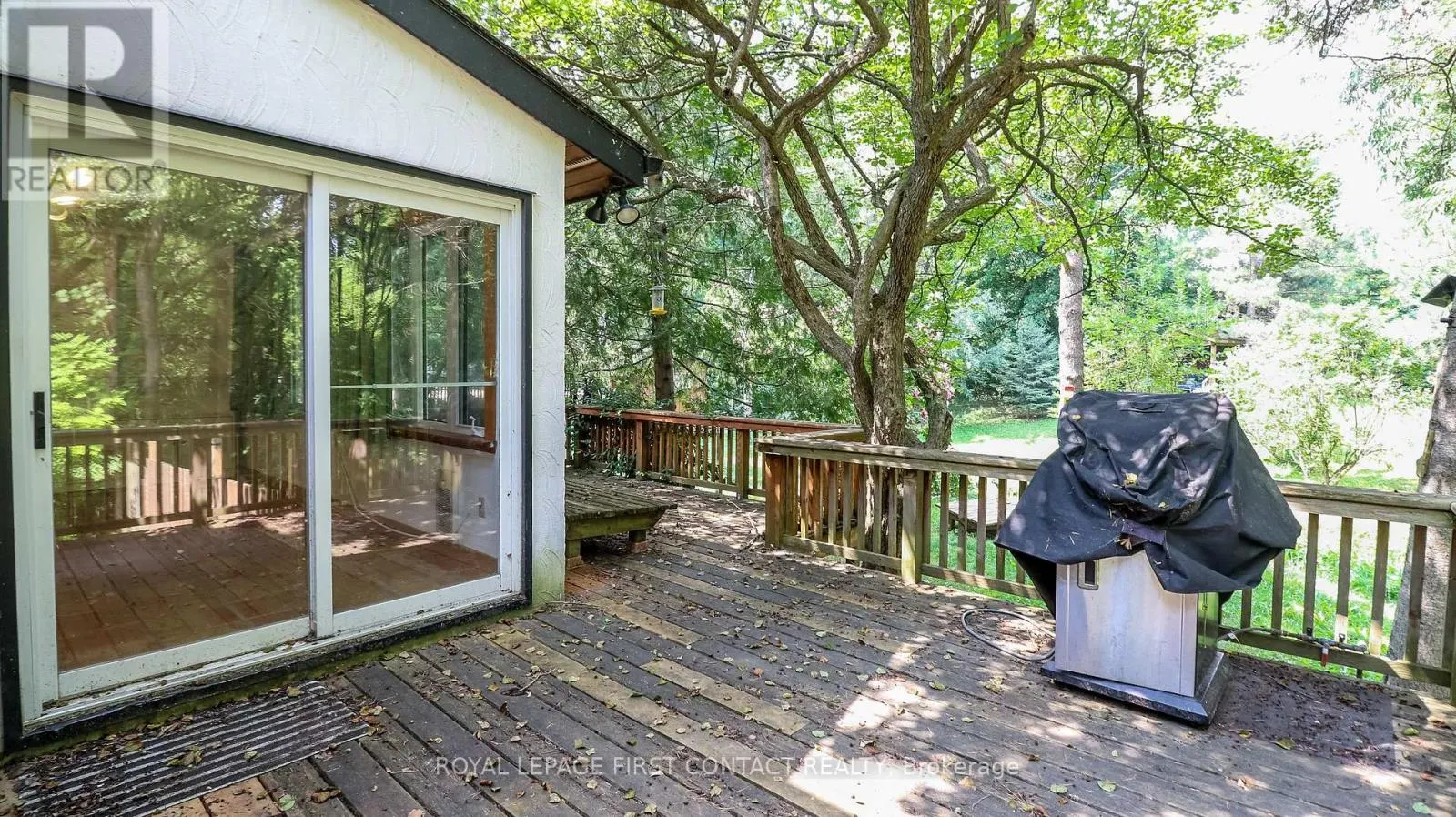 114 BIRCH VIEW TRAIL