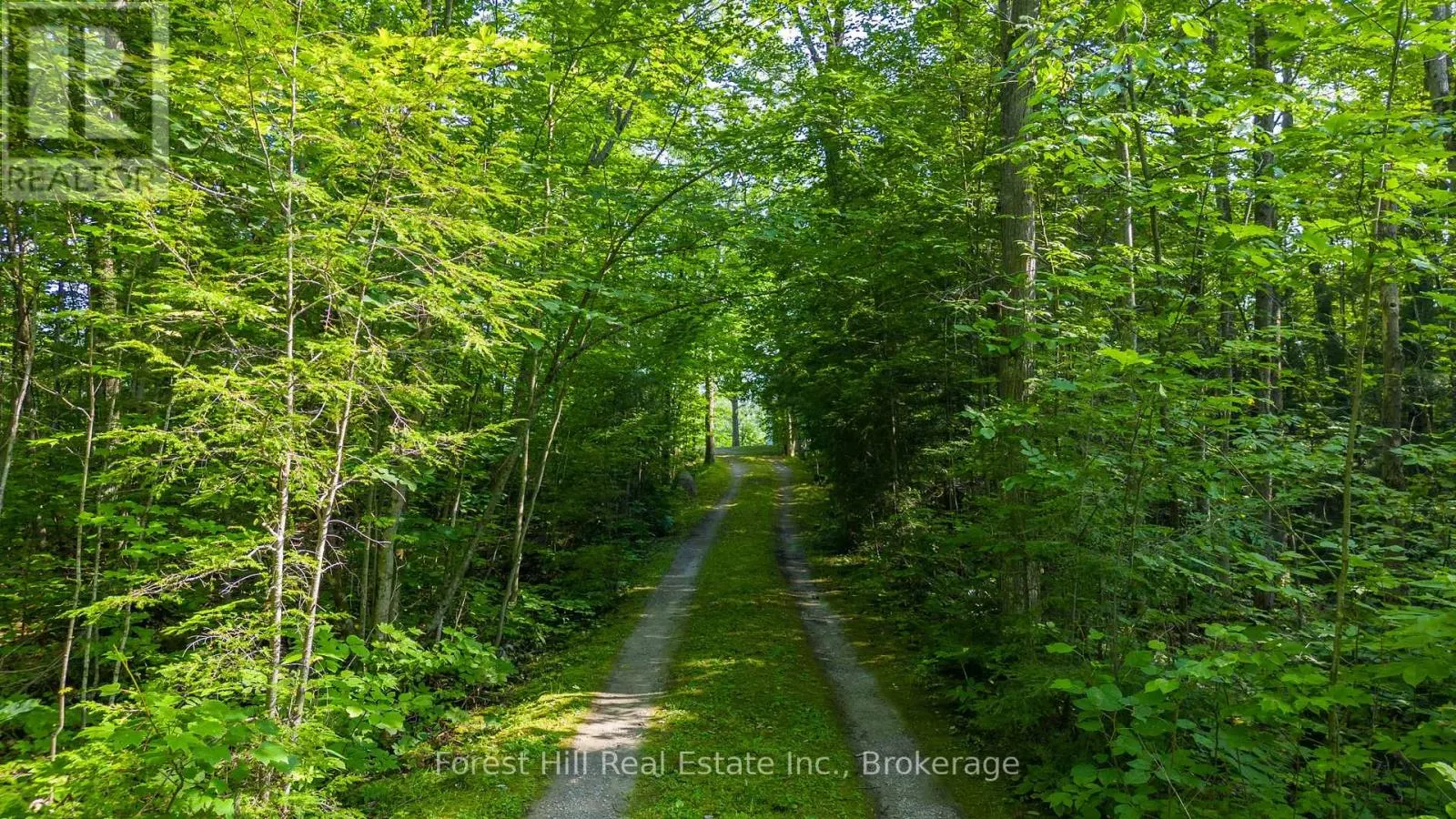 959 HARRISON TRAIL