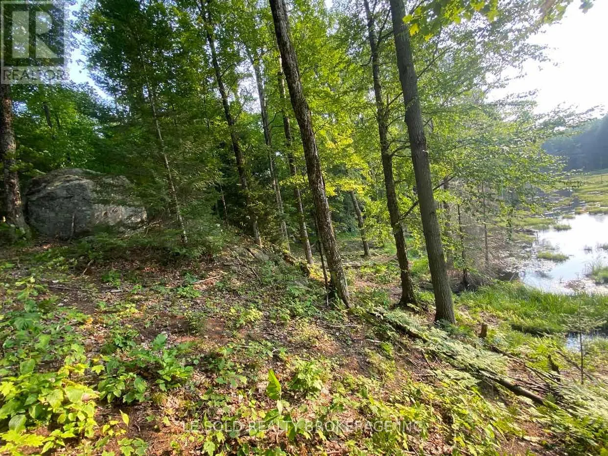 LOT # 7 - 1310 CAMEL LAKE ROAD
