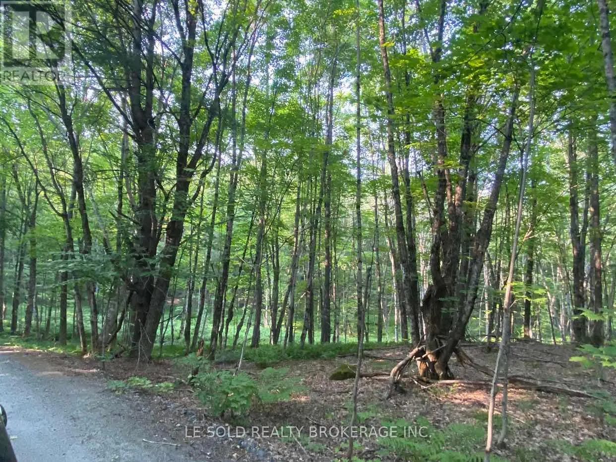 LOT # 7 - 1310 CAMEL LAKE ROAD