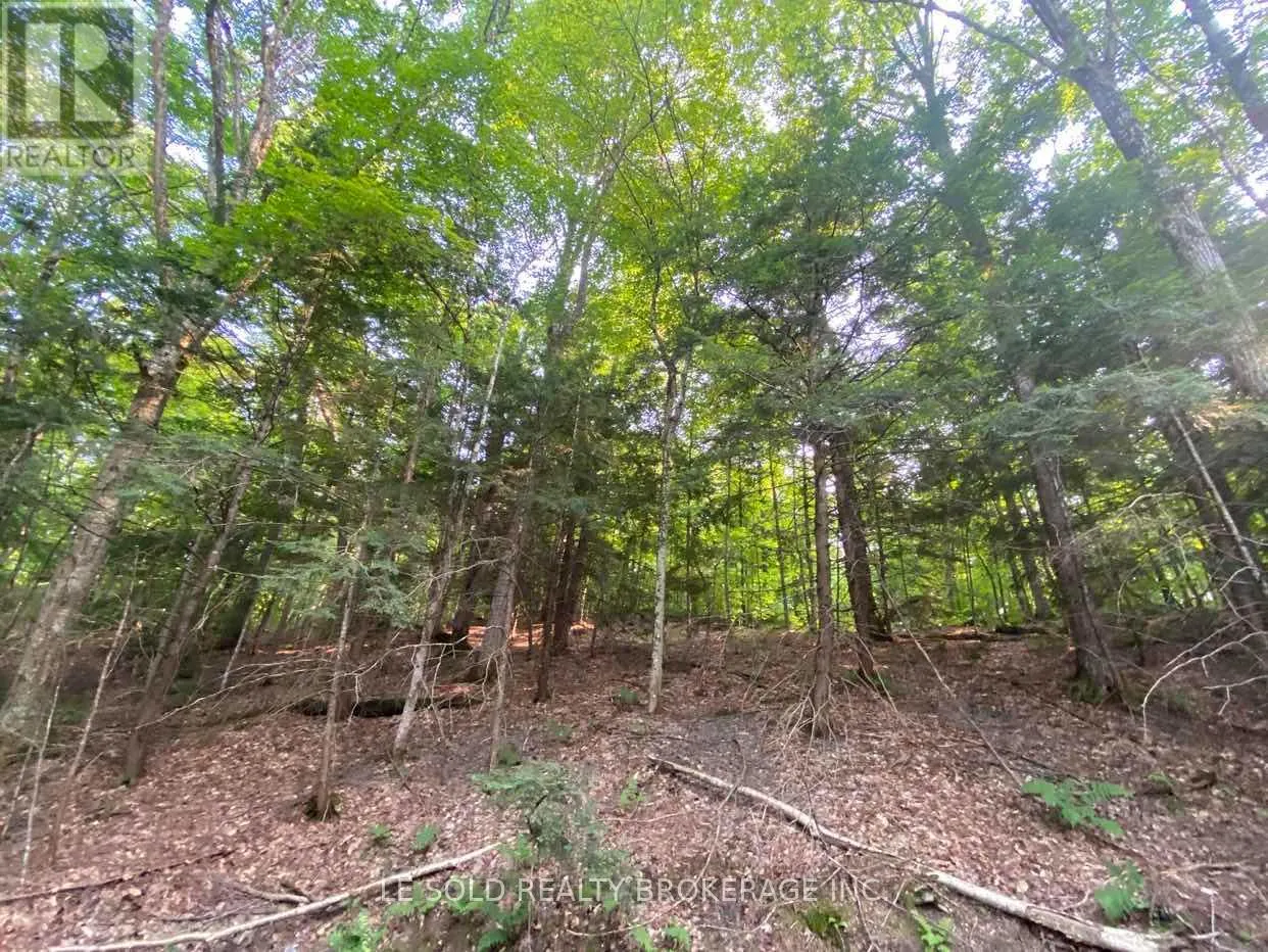 LOT # 7 - 1310 CAMEL LAKE ROAD