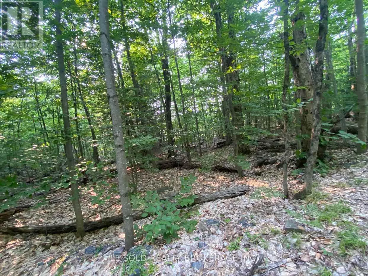 LOT # 7 - 1310 CAMEL LAKE ROAD