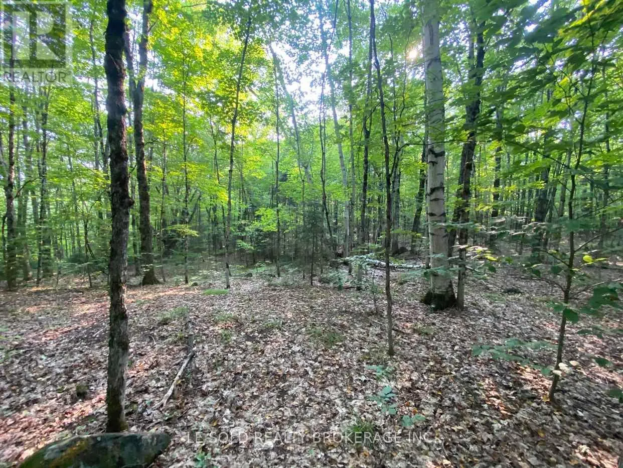 LOT # 7 - 1310 CAMEL LAKE ROAD