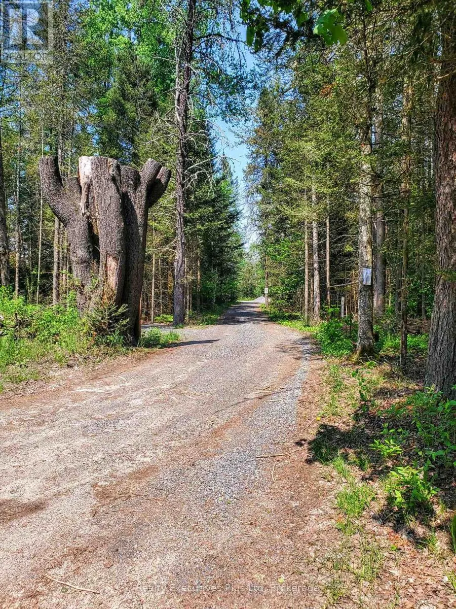 297 JOLY STRONG ROAD