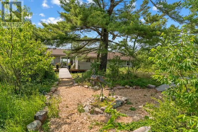 1 252C ISLAND