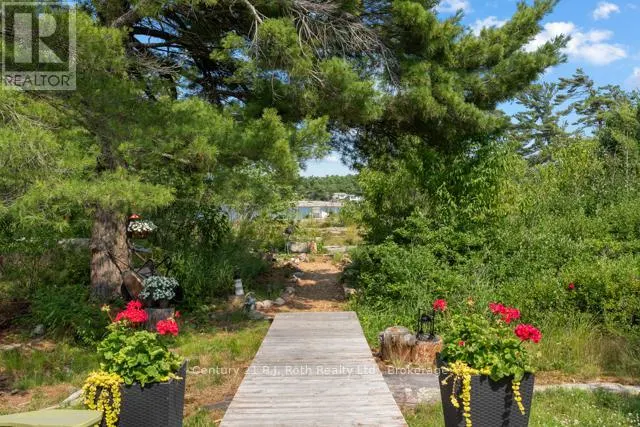 1 252C ISLAND