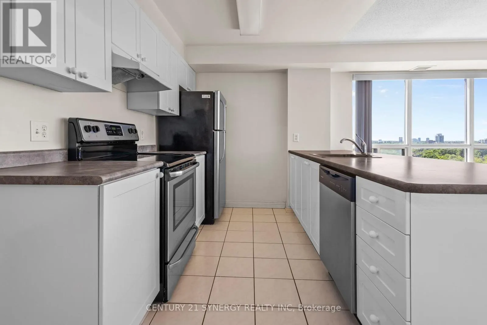 1109 - 429 SOMERSET STREET W