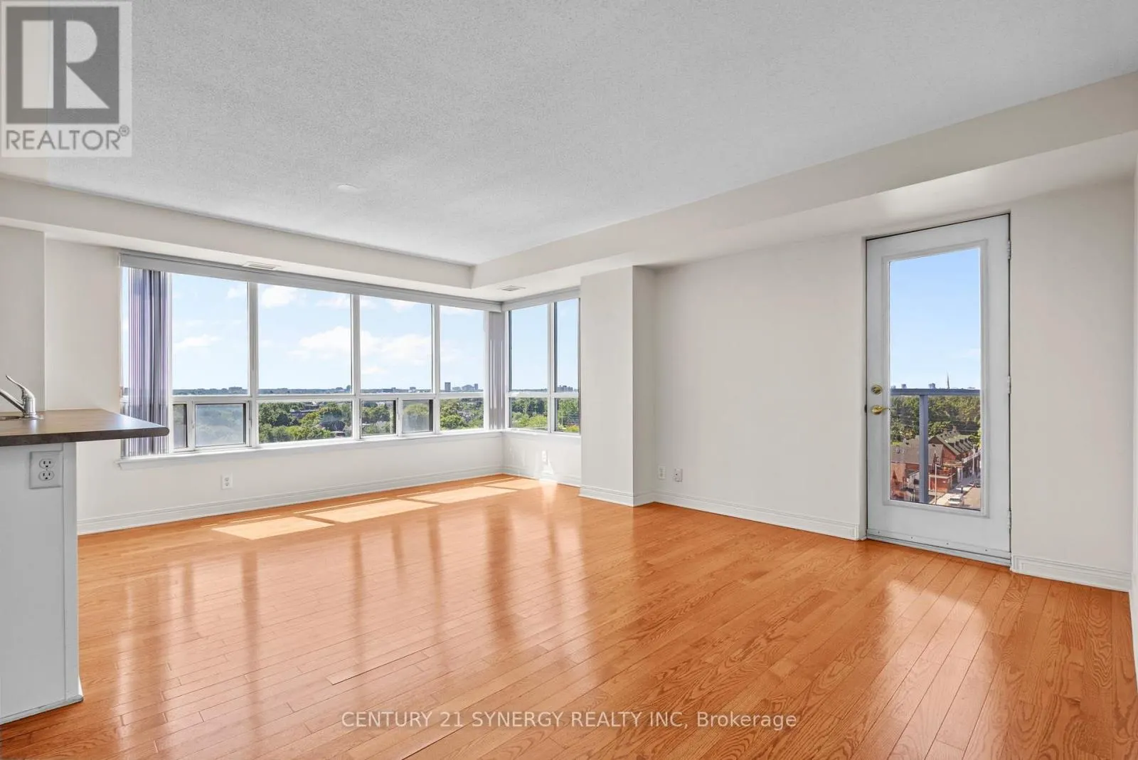 1109 - 429 SOMERSET STREET W