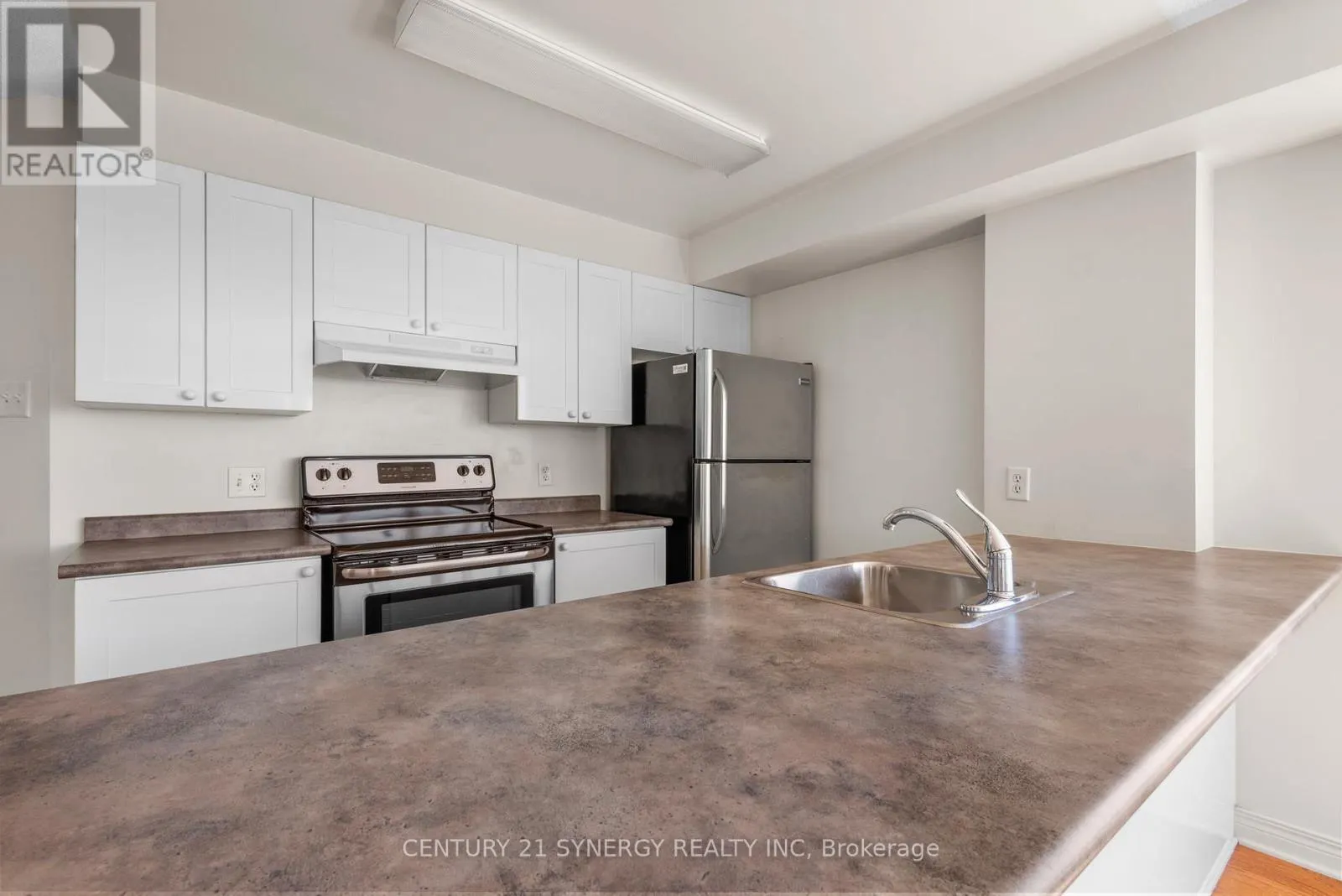1109 - 429 SOMERSET STREET W