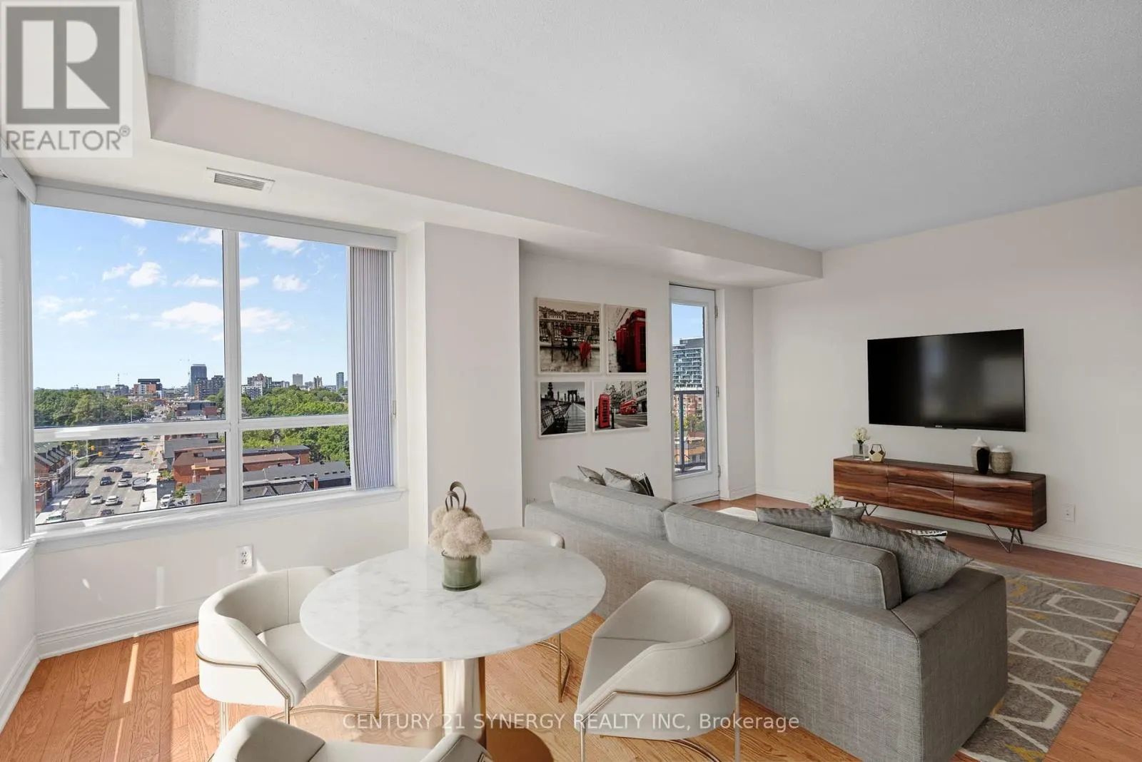 1109 - 429 SOMERSET STREET W