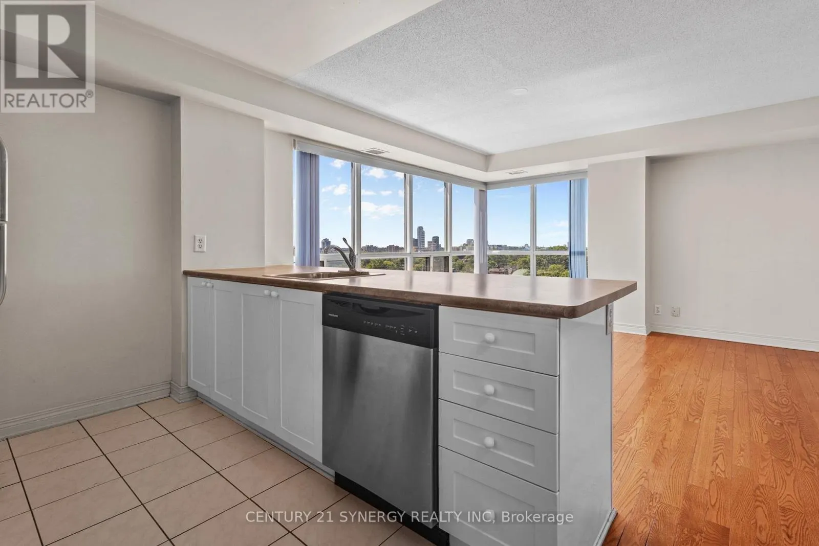 1109 - 429 SOMERSET STREET W