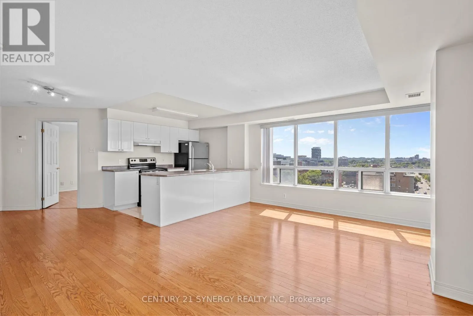 1109 - 429 SOMERSET STREET W