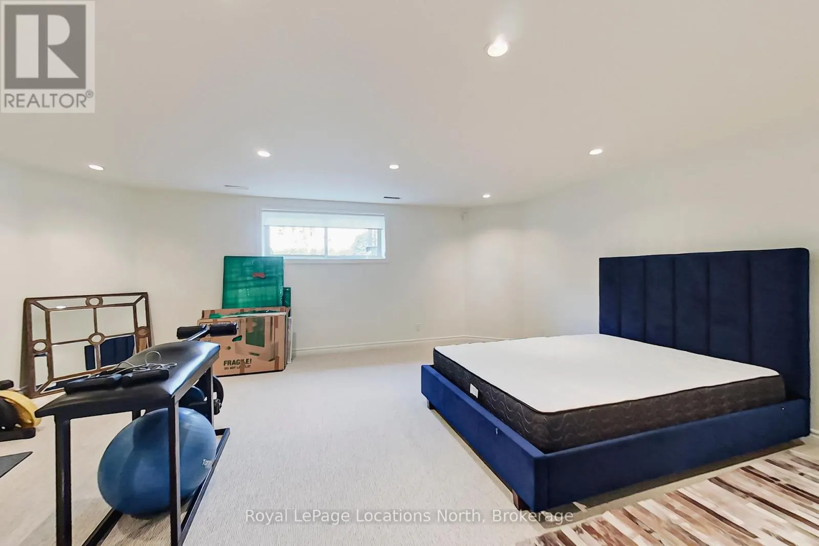 117 CAMPERDOWN COURT