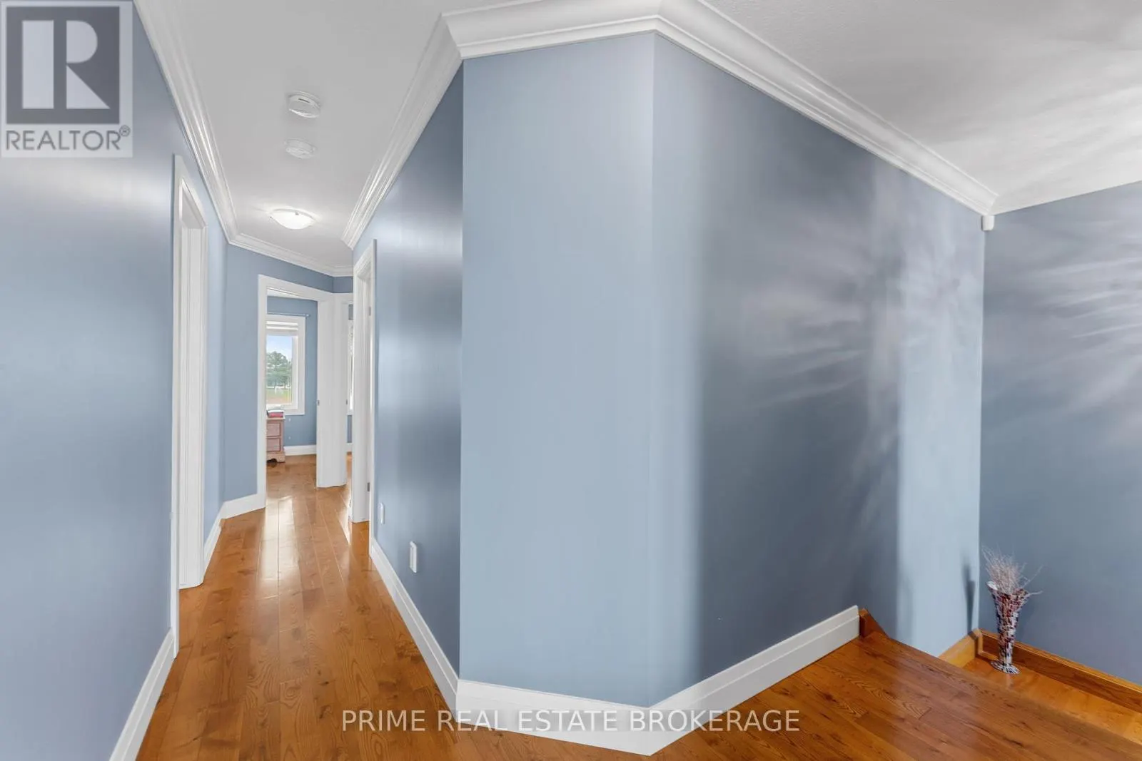 95 BOYD BOULEVARD