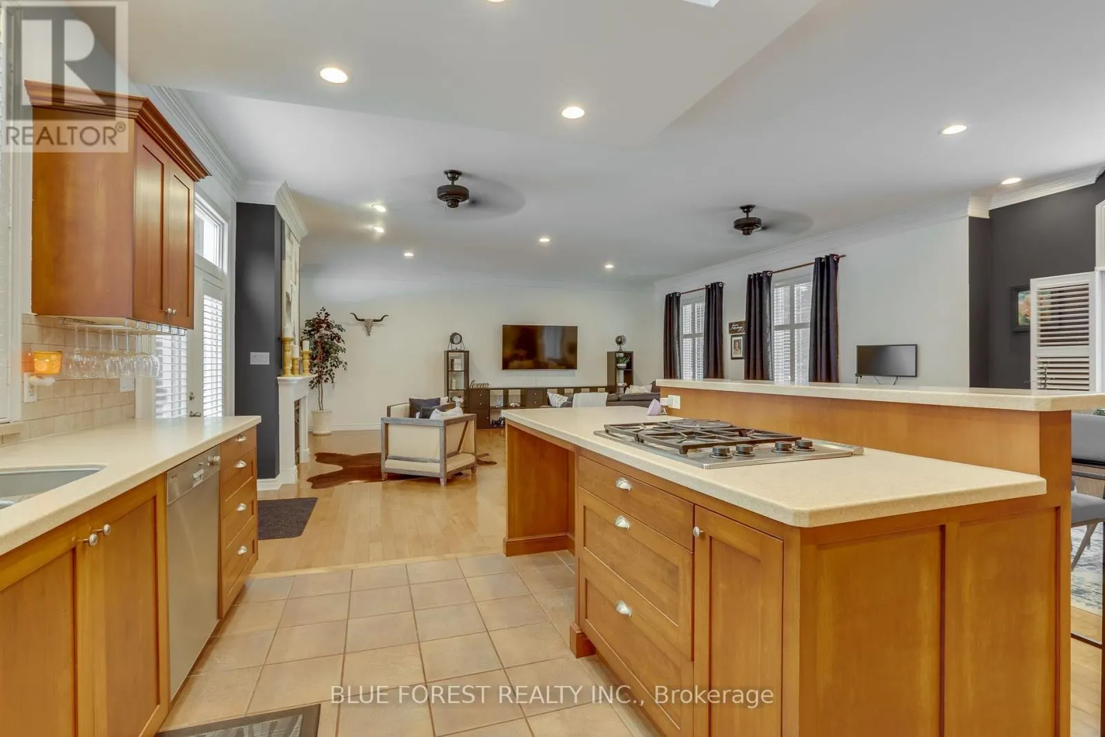 16916 EVELYN DRIVE