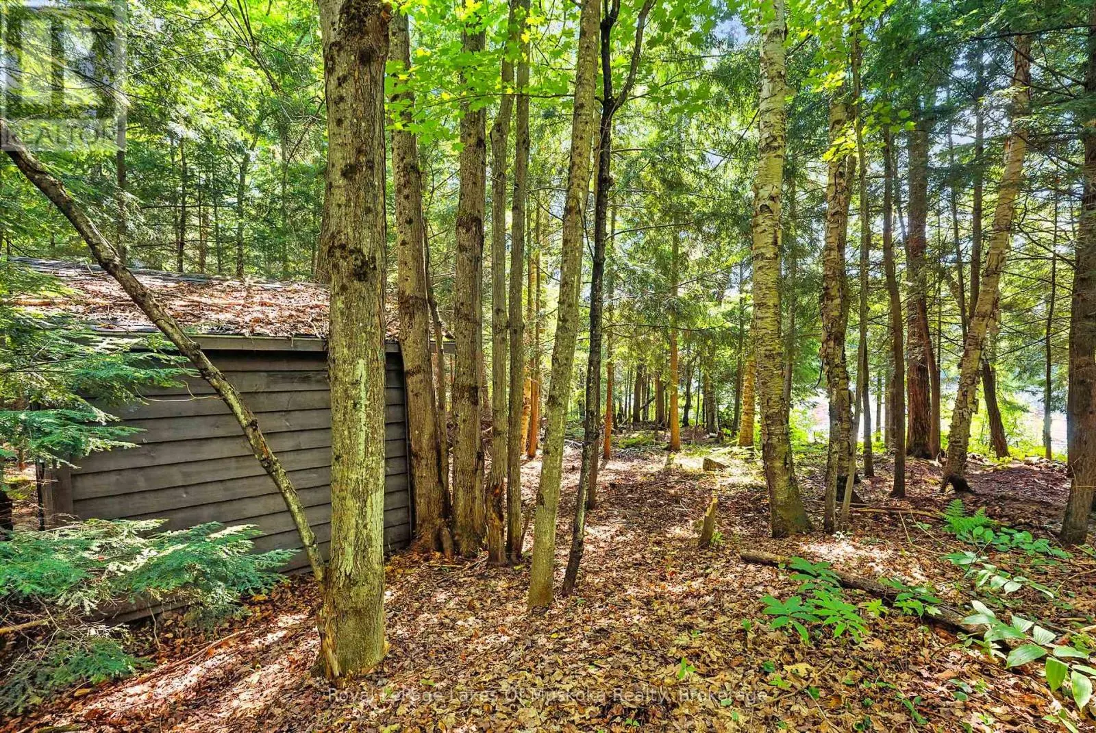 #7 - 1008 MUSKOKA BOB ROAD, ##7