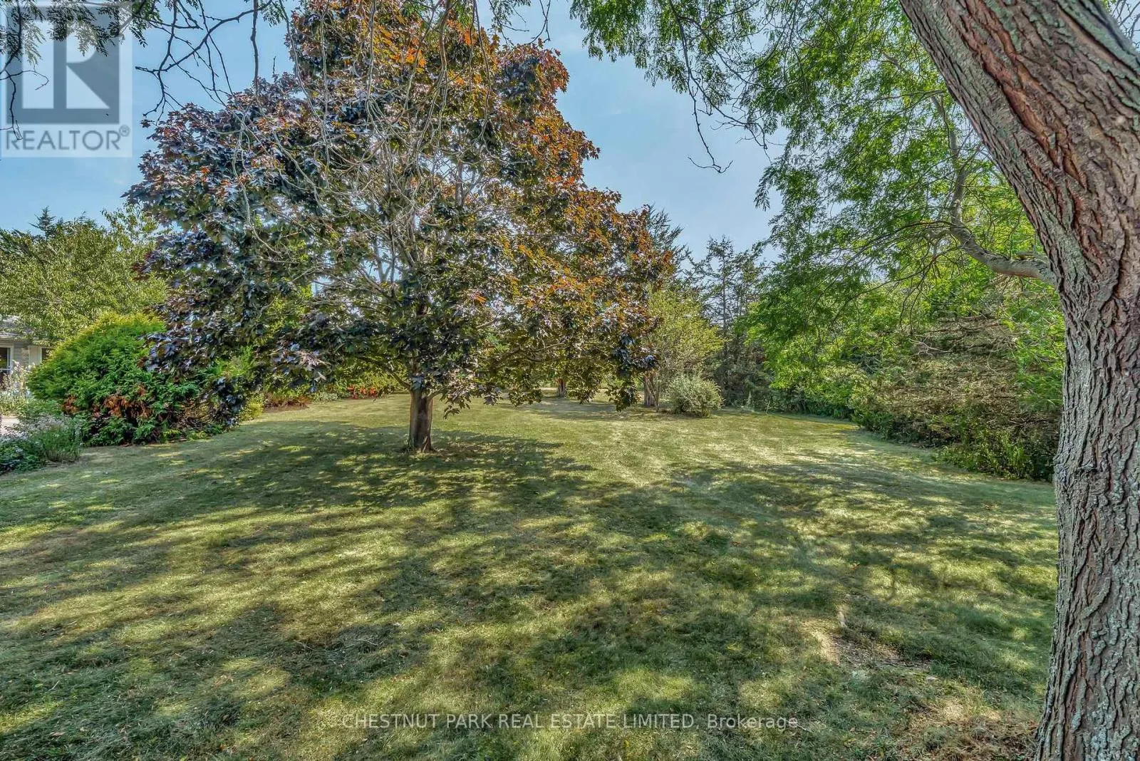 207 CARNRIKE ROAD