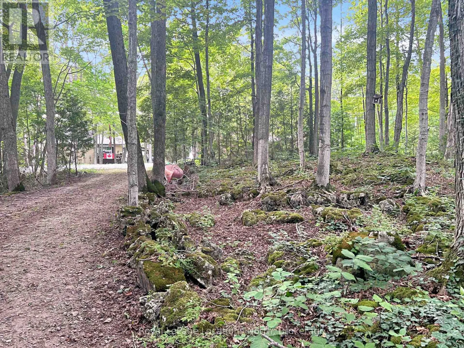 213 TAMMY'S COVE ROAD