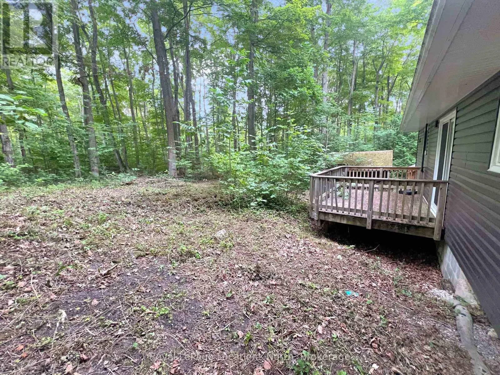 213 TAMMY'S COVE ROAD