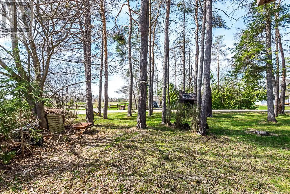 85 THOMAS DRIVE