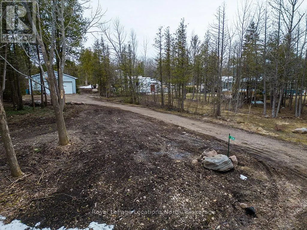 236 LAKESHORE ROAD S