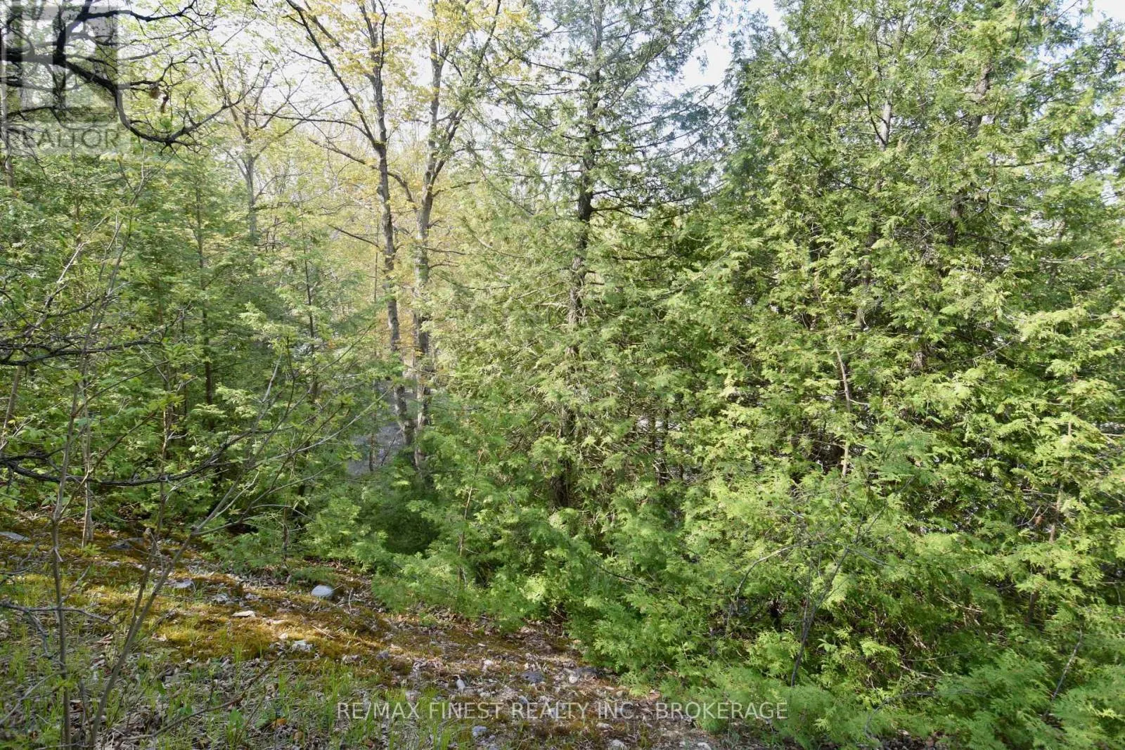 20B BALLANTRA DRIVE