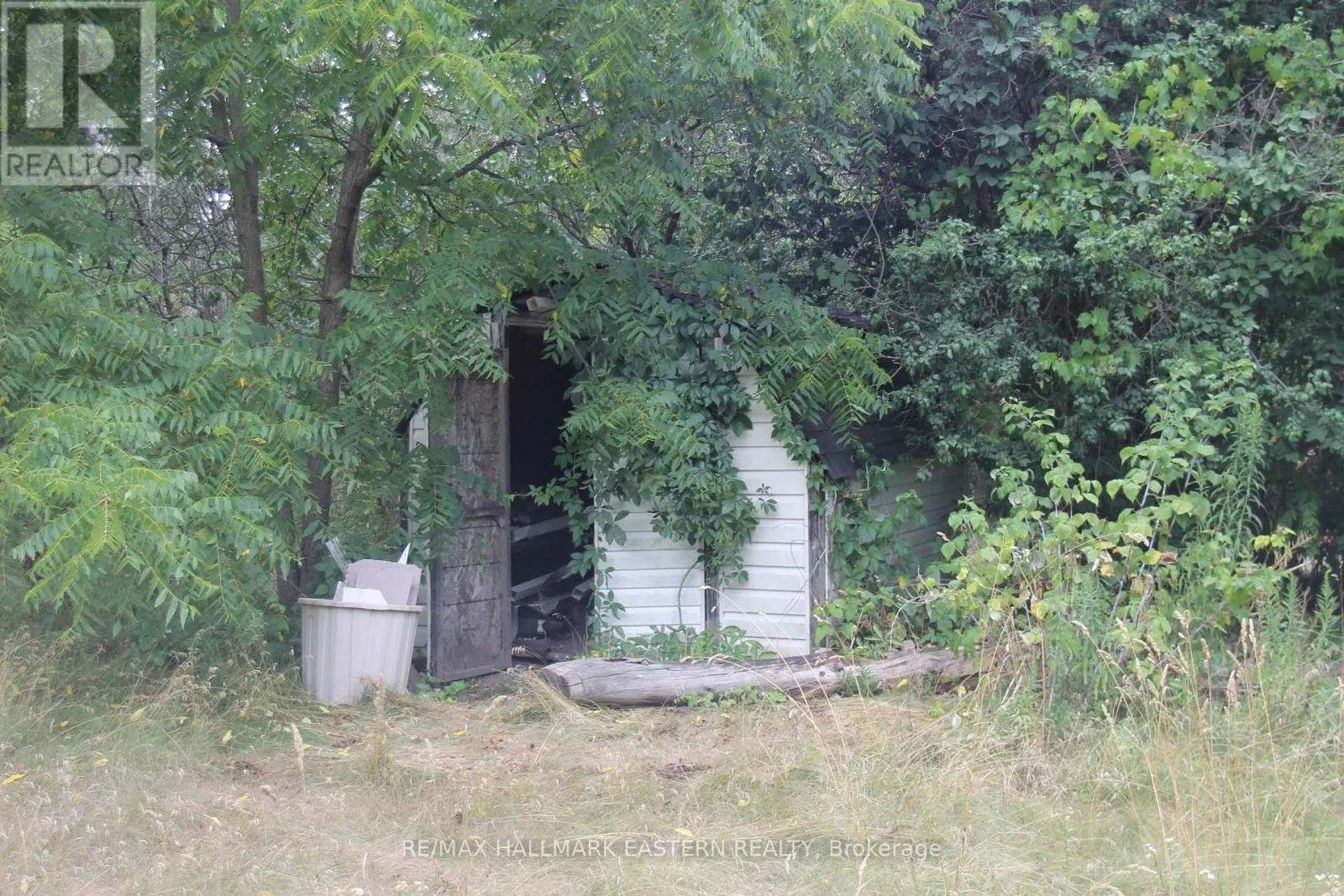 384 KING STREET W