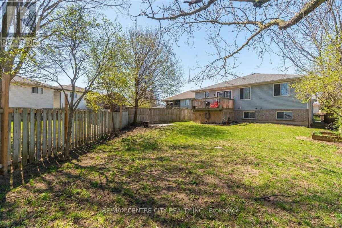 19 DELL DRIVE